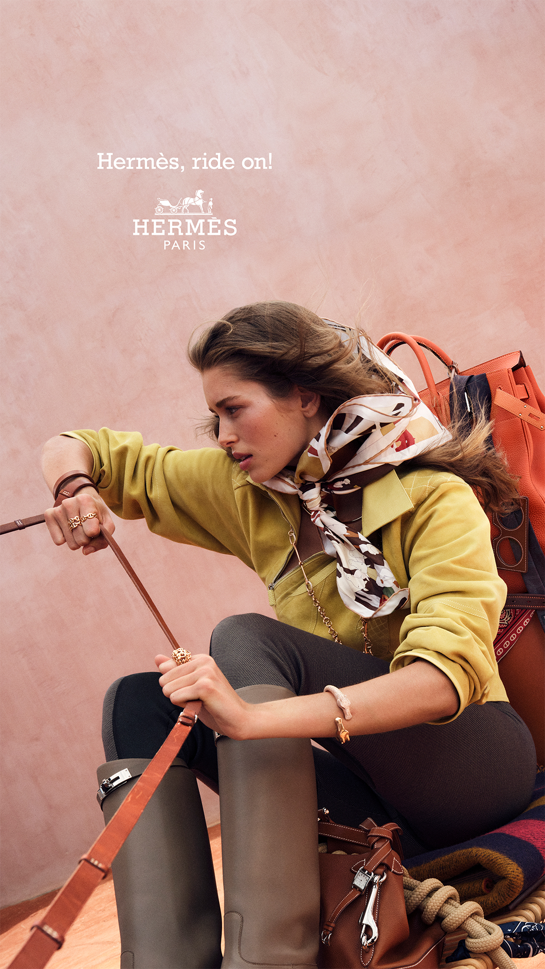 Hermès Facebook ad: Ride on! Harnessed with precise gestures and elegance…