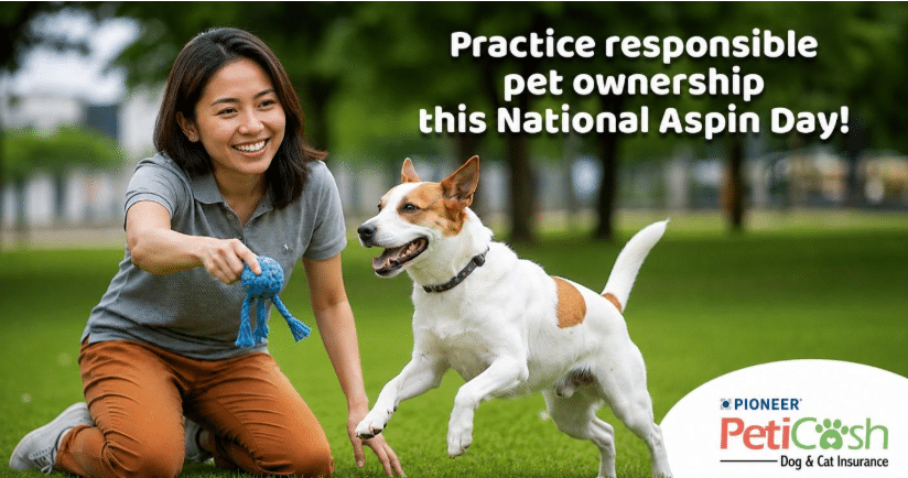 Pioneer Your Insurance Facebook ad