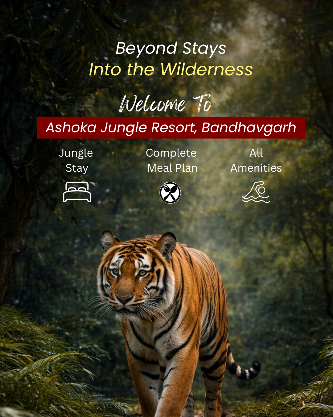 Ashoka Jungle Resort by Roaring forest Facebook ad: Stay close to the wild Jungle View Cottages…