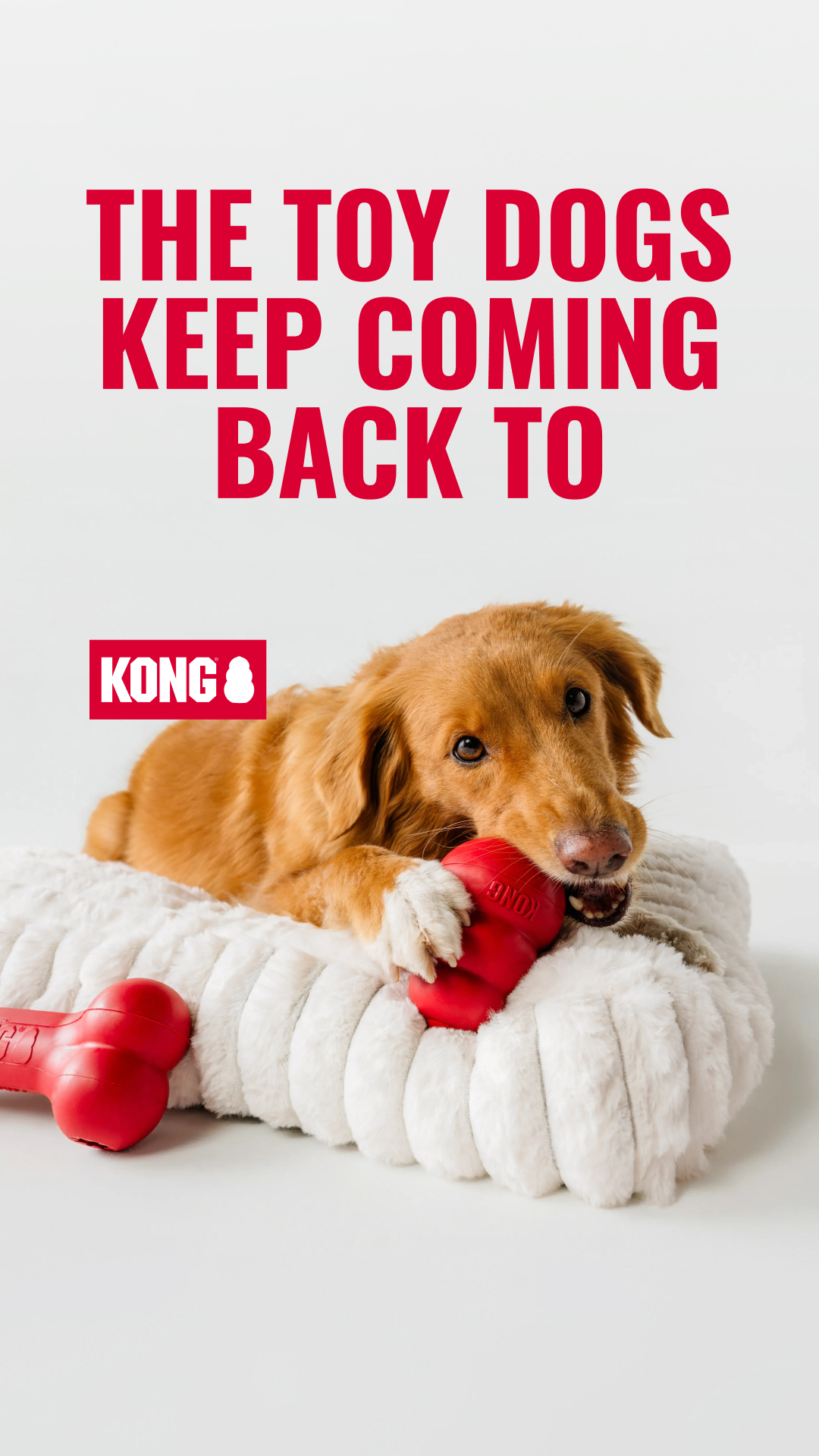 KONG Facebook ad