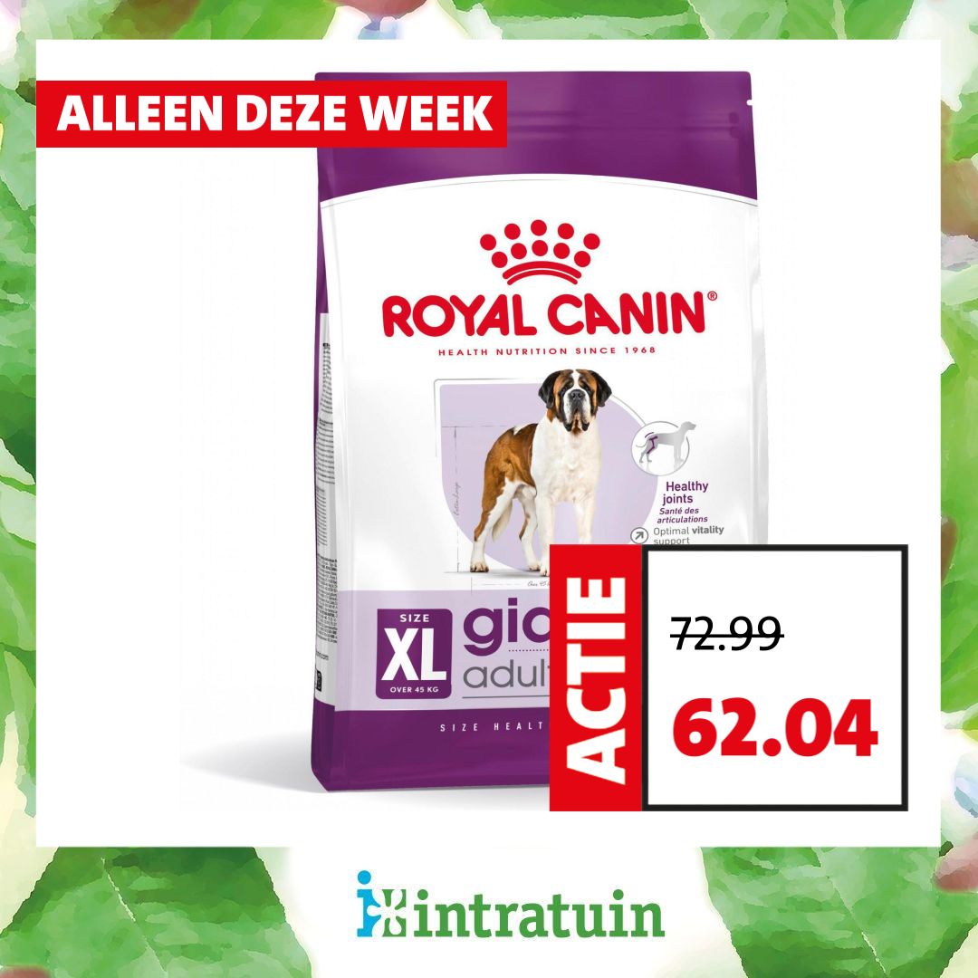 Intratuin Facebook ad