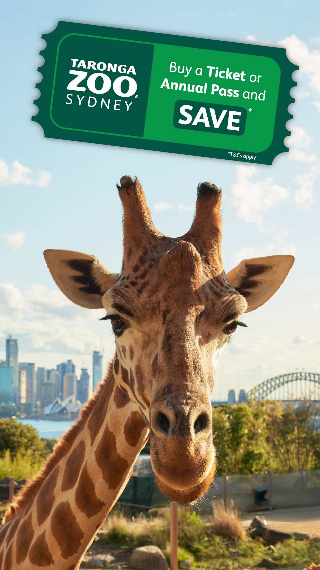 Taronga Zoo Sydney Facebook ad from May 31, 2026