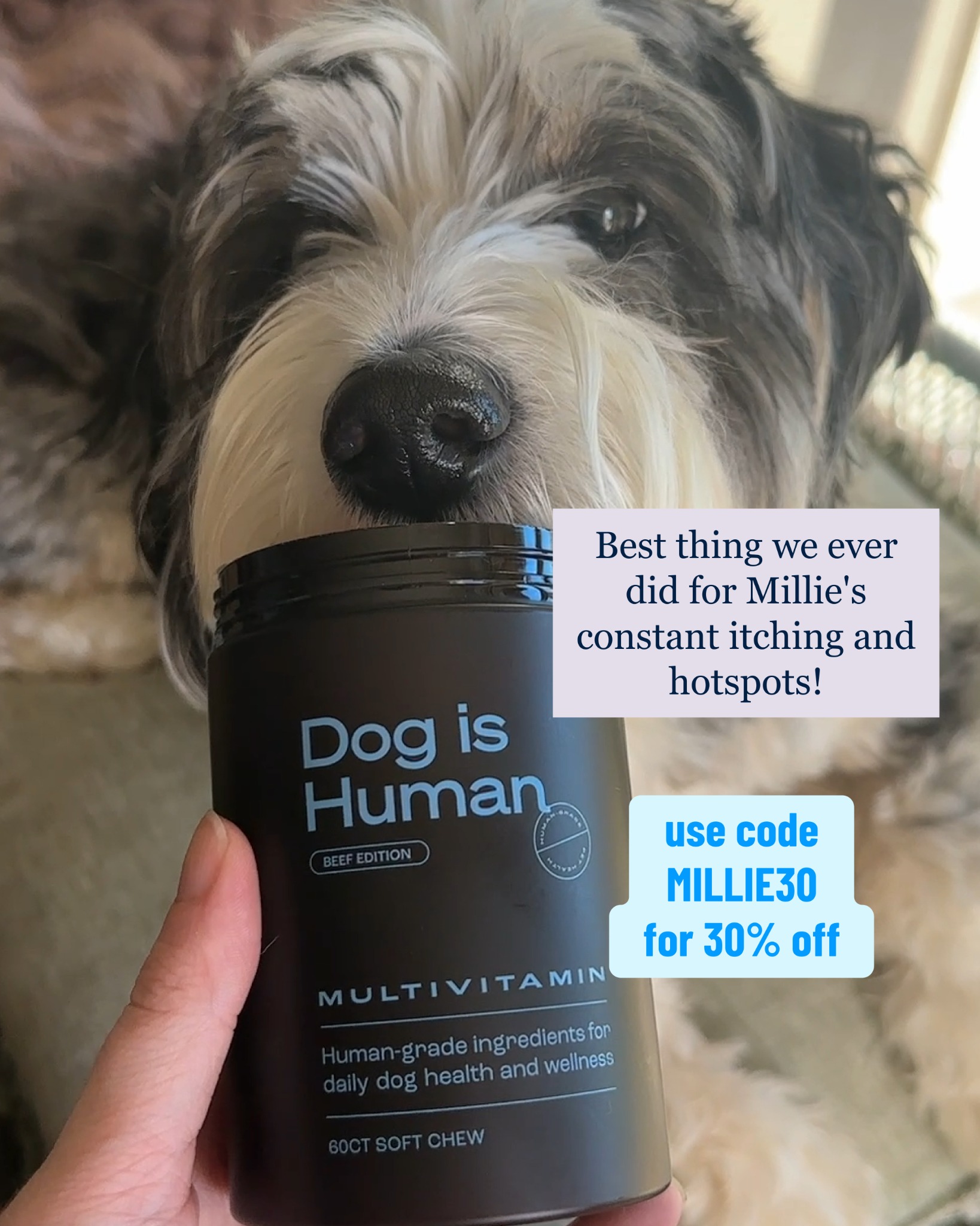 Dog is Human Facebook ad