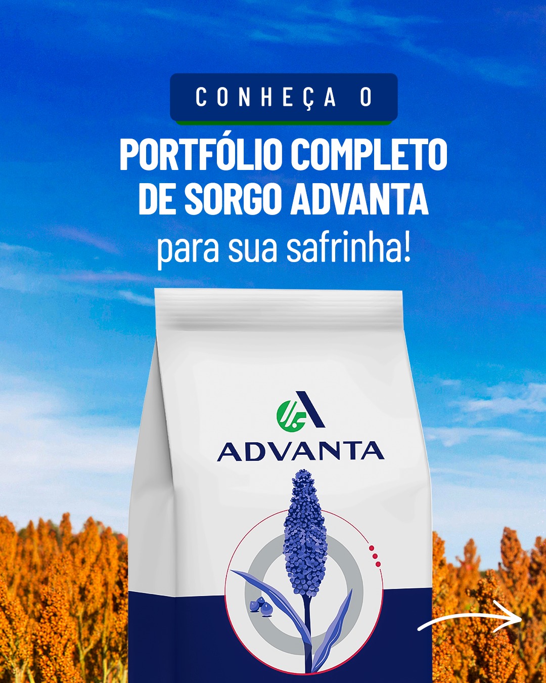 Advanta Seeds Brasil Facebook ad: Conheça o portfólio completo de sorgo Advanta para…