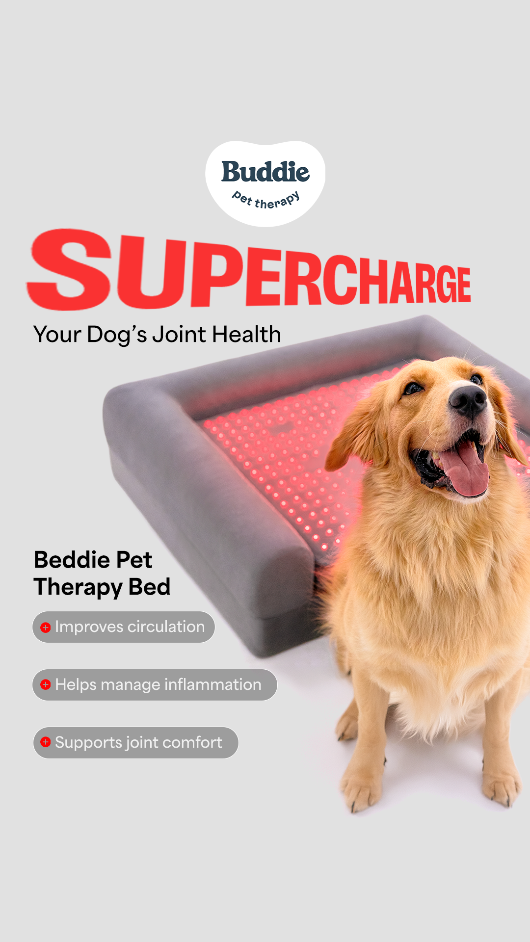 Buddie Pet Therapy Facebook ad
