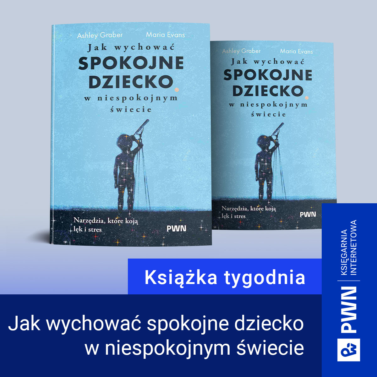 Wydawnictwo Naukowe PWN Facebook ad: Jak wychować spokojne dziecko w niespokojnym świecie…