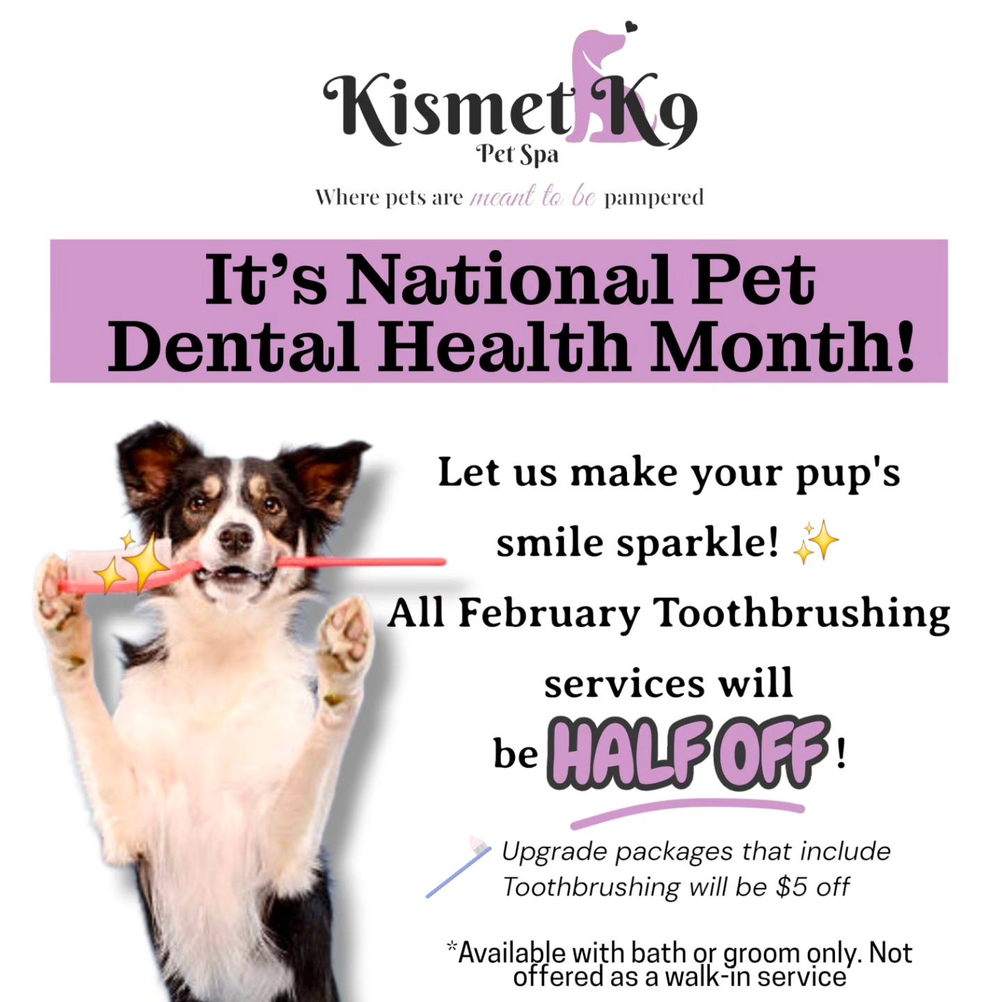 Kismet K9 Pet Spa Facebook ad: Online booking - Kismet K9 Pet Spa