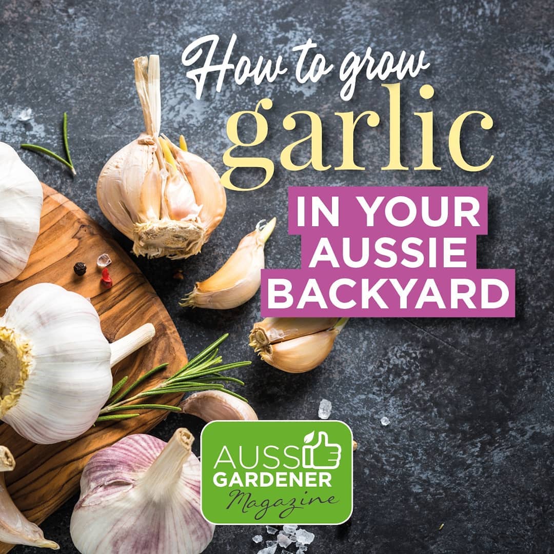 Aussie Gardener Store Facebook ad