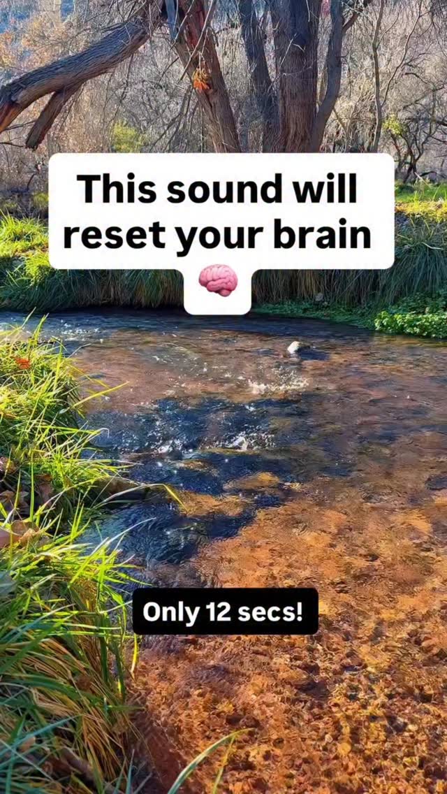 Banah Winn Facebook ad: This sound will reset your brain.