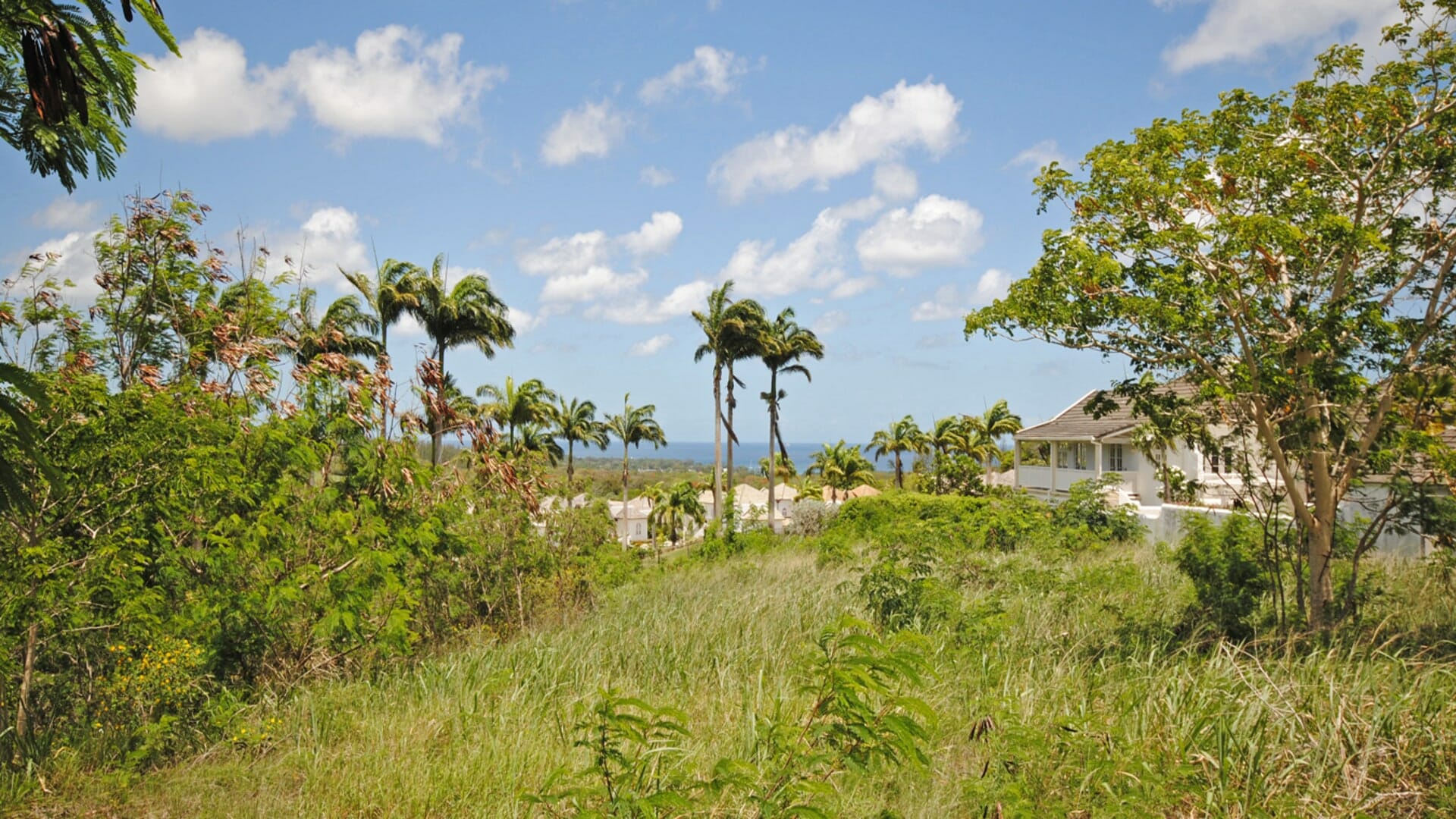 NVEST Estates Facebook ad: Barbados' two legendary golf estates, Apes Hill and…