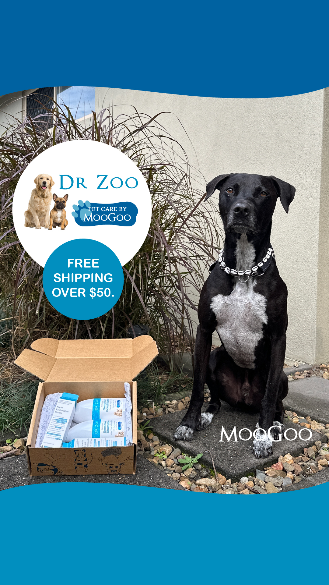 MooGoo Skin Care Facebook ad