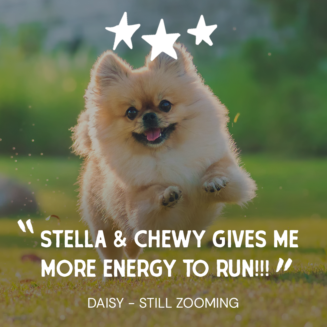 Stella & Chewy's Facebook ad