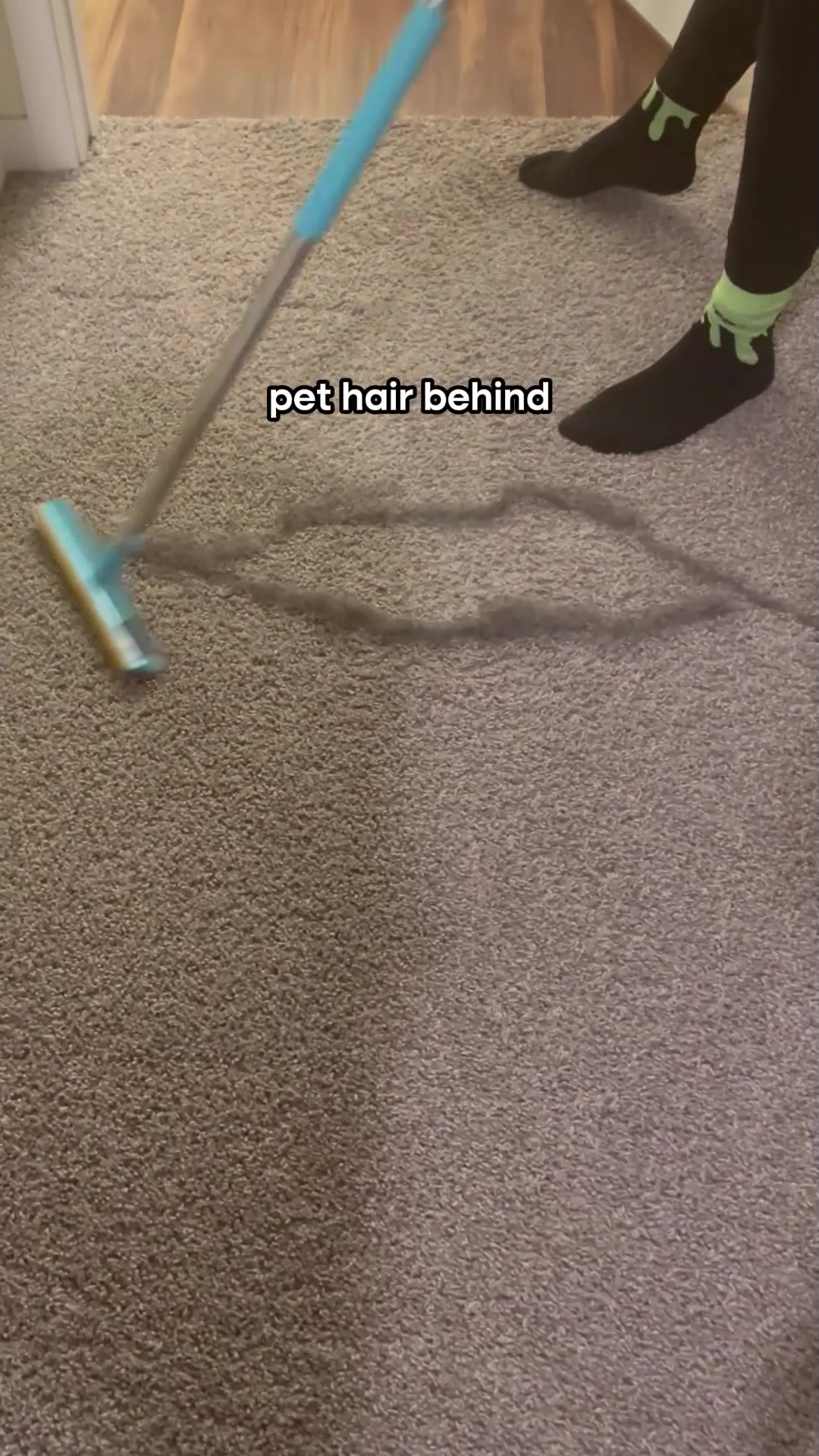 Moonlight Market Facebook ad: The #1 Pet Hair/Lint/Dust Cleaner