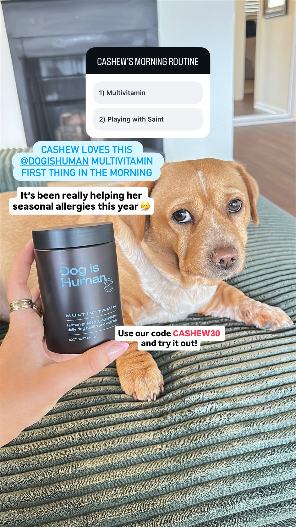 Dog is Human Facebook ad