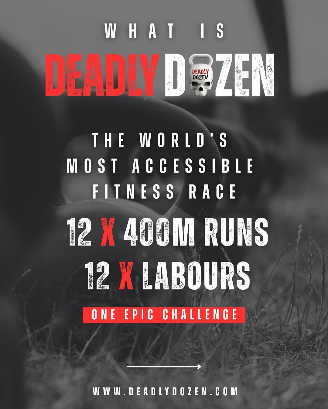Deadly Dozen Facebook ad: WHAT IS THE DEADLY DOZEN?