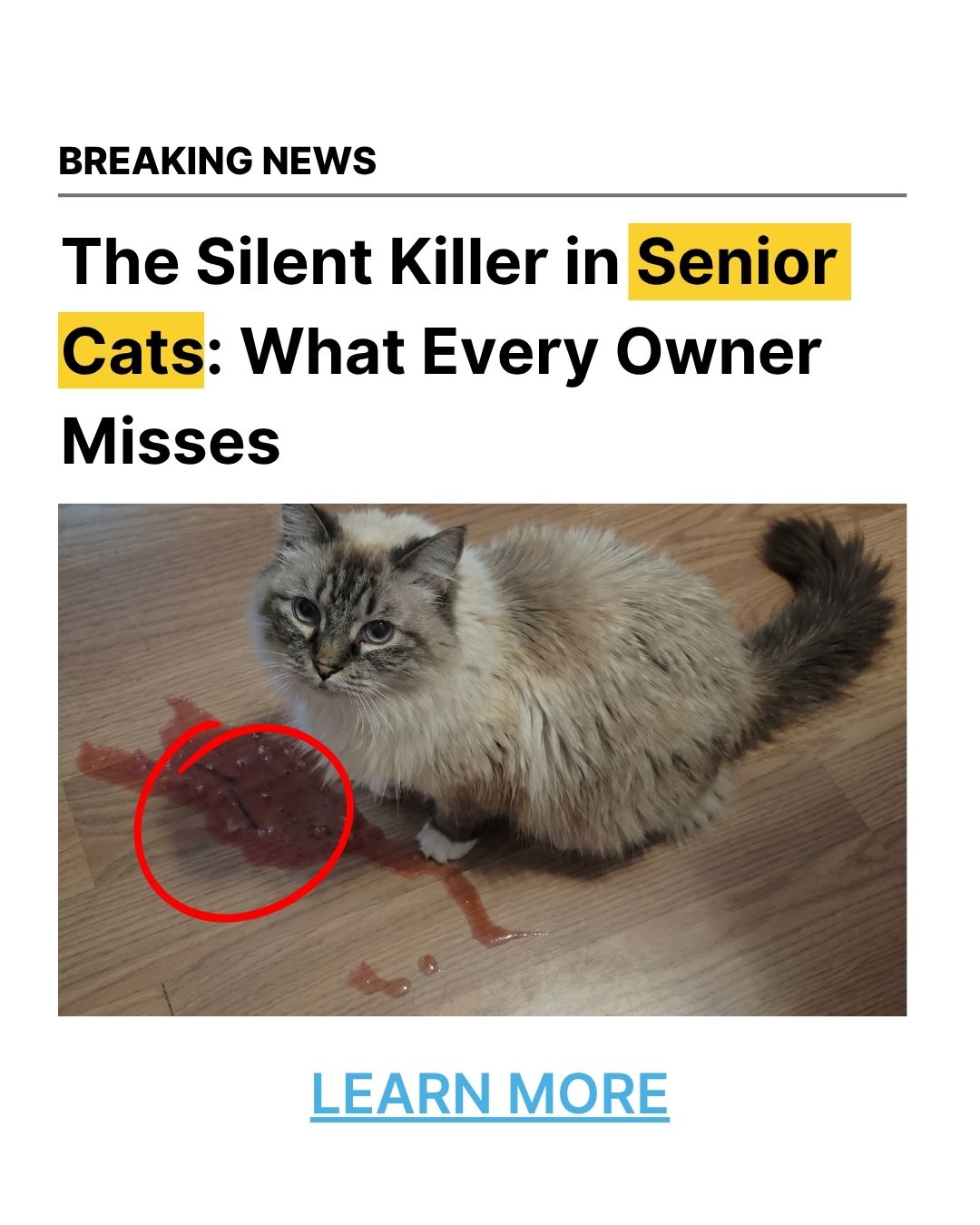 Fureeze Facebook ad: The Senior Cat Symptoms Most Owners Dismiss as Old Age