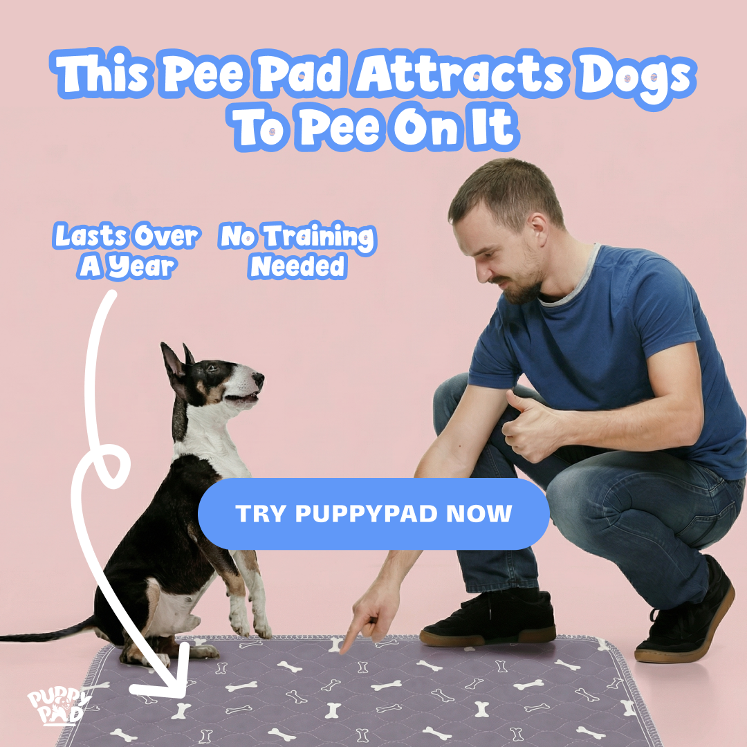 PuppyPad Facebook ad