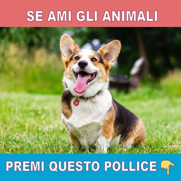 Storie di Vita Facebook ad