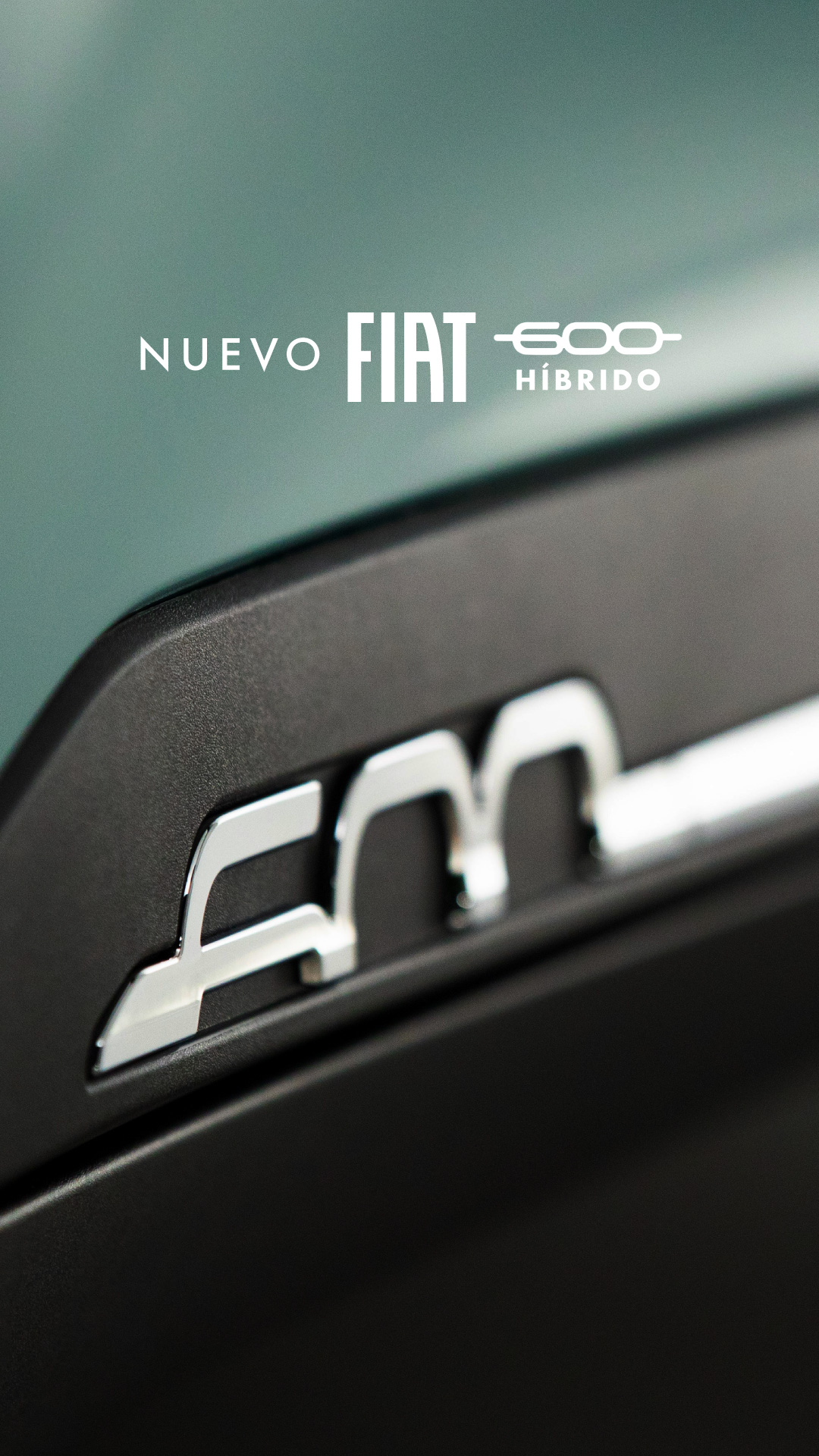 Fiat Argentina Facebook ad