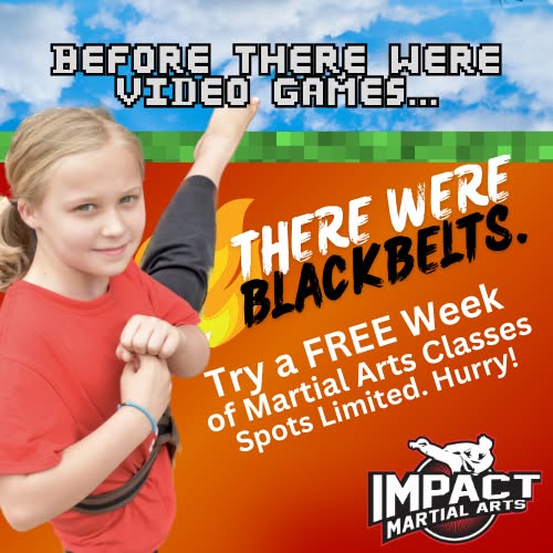 Impact Martial Arts Academy Facebook ad