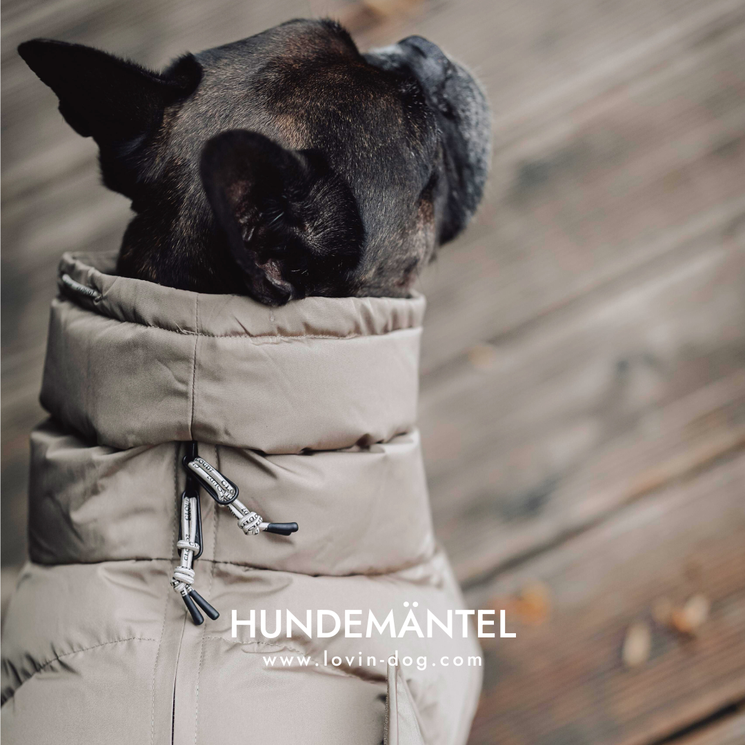 Lovin'dog Facebook ad
