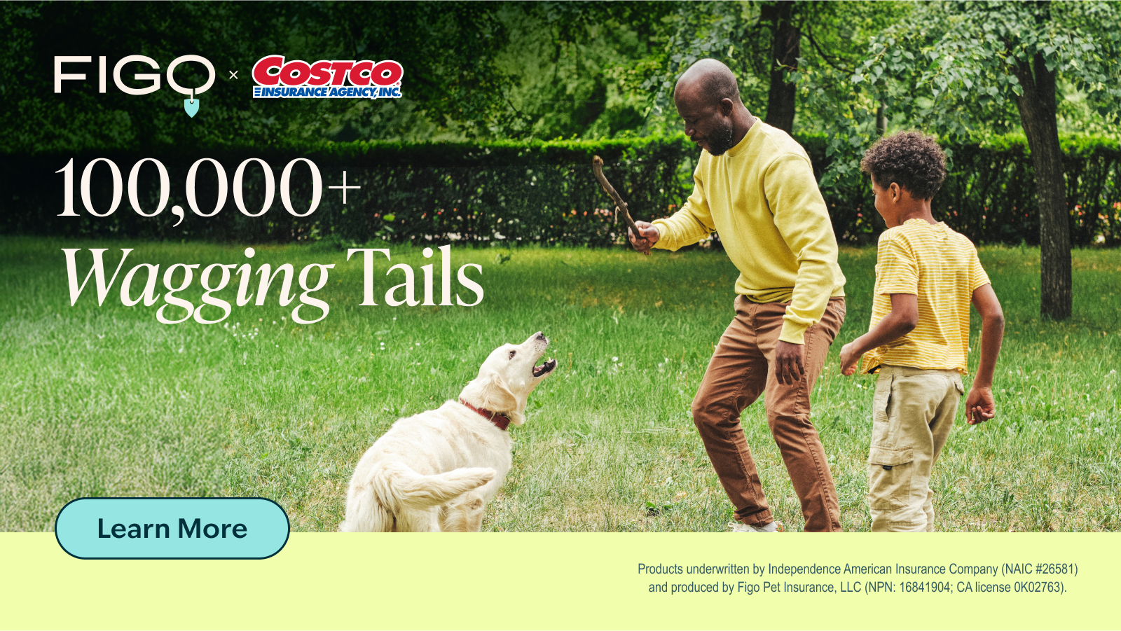 Figo Pet Insurance Facebook ad