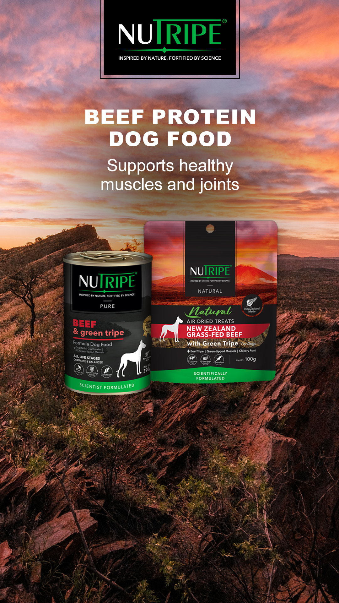Petstock Facebook ad
