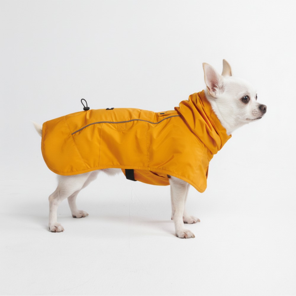 Spark Paws Facebook ad