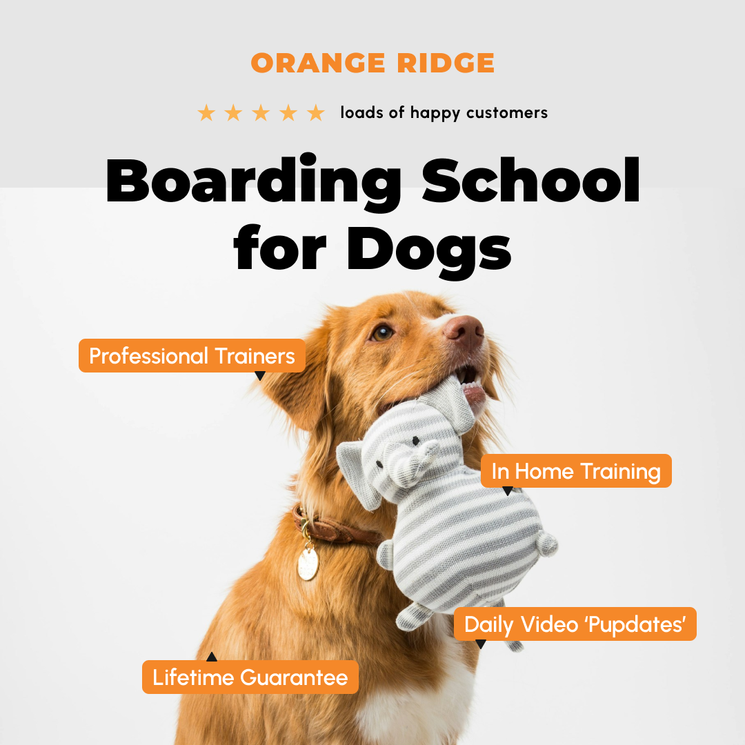 Orange Ridge Facebook ad