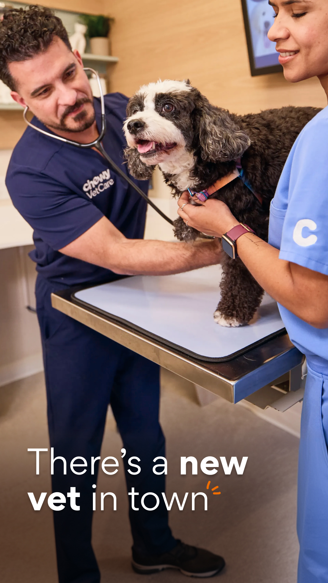 Chewy Vet Care Facebook ad