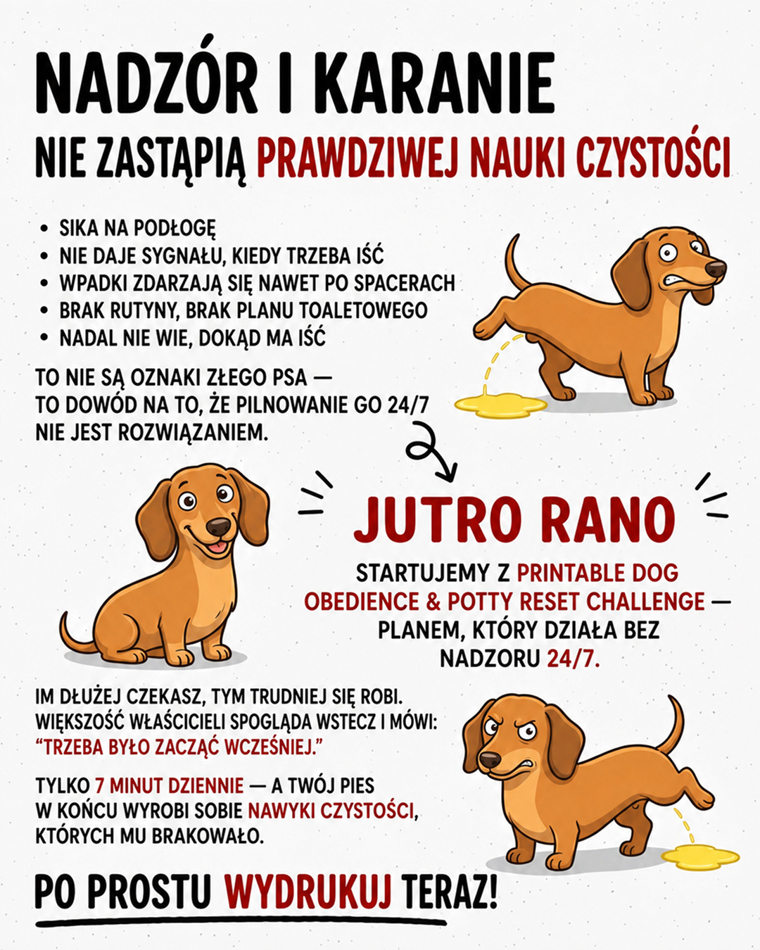 Ben Your Puppy Trainer Facebook ad