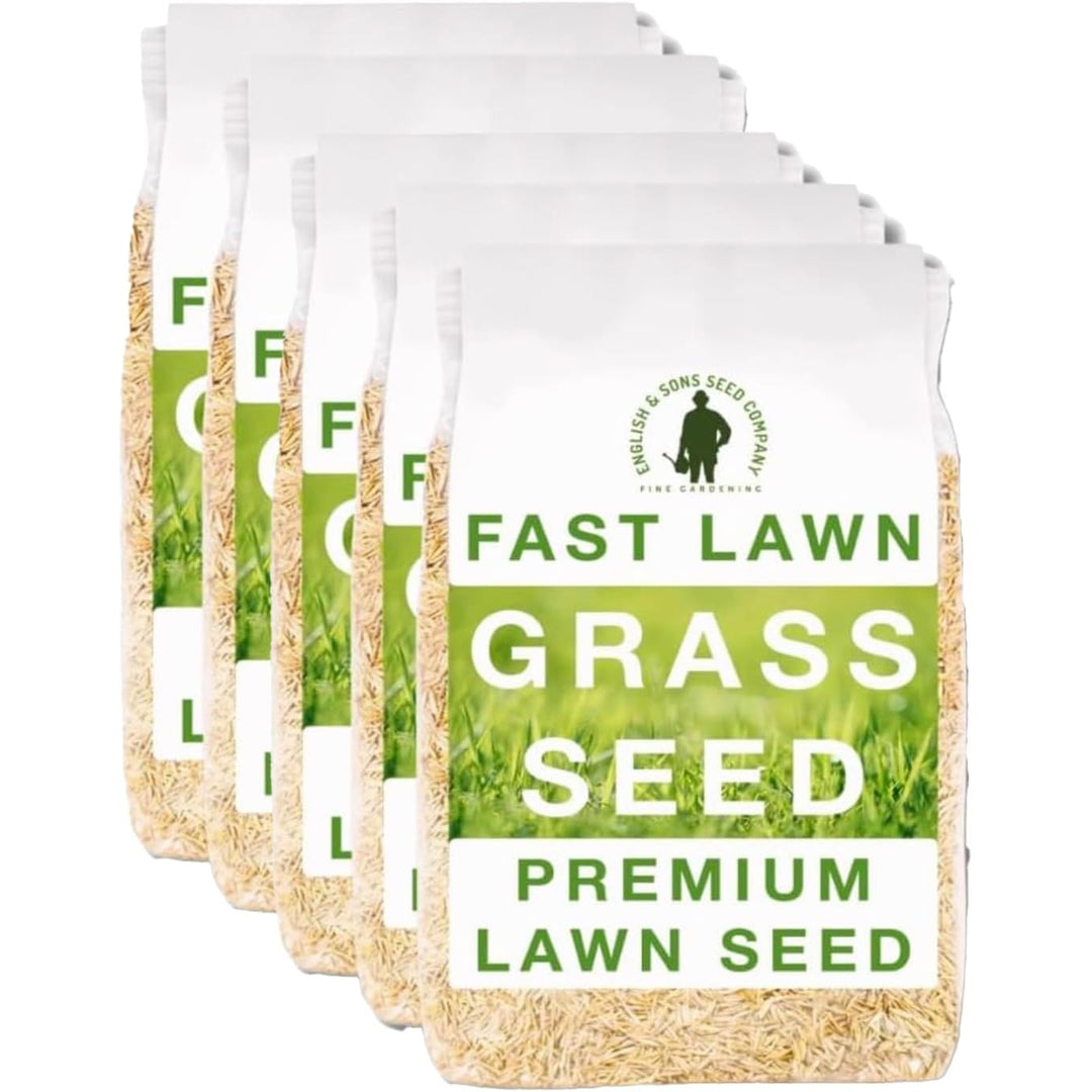 Little Trees Bees and Seeds Co Facebook ad from Oct 20, 2025