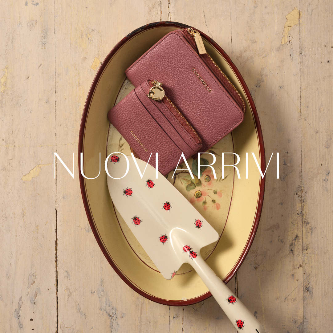 COCCINELLE Facebook ad