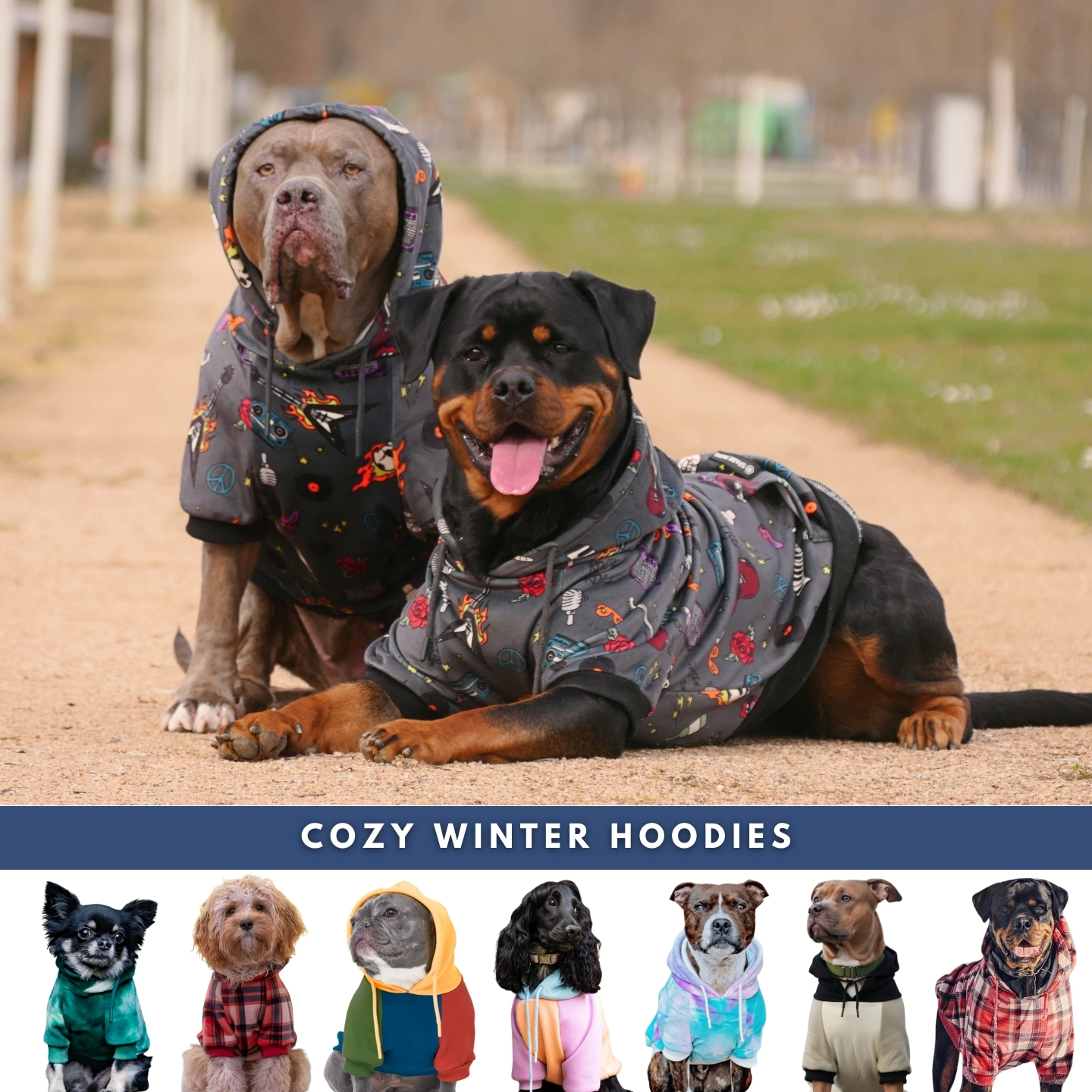 Spark Paws Facebook ad