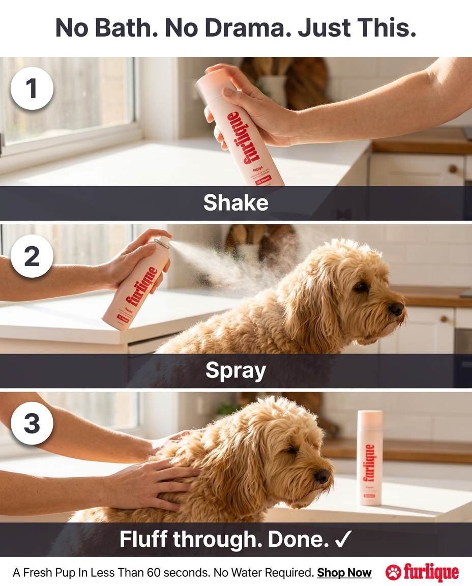 Furlique Facebook ad