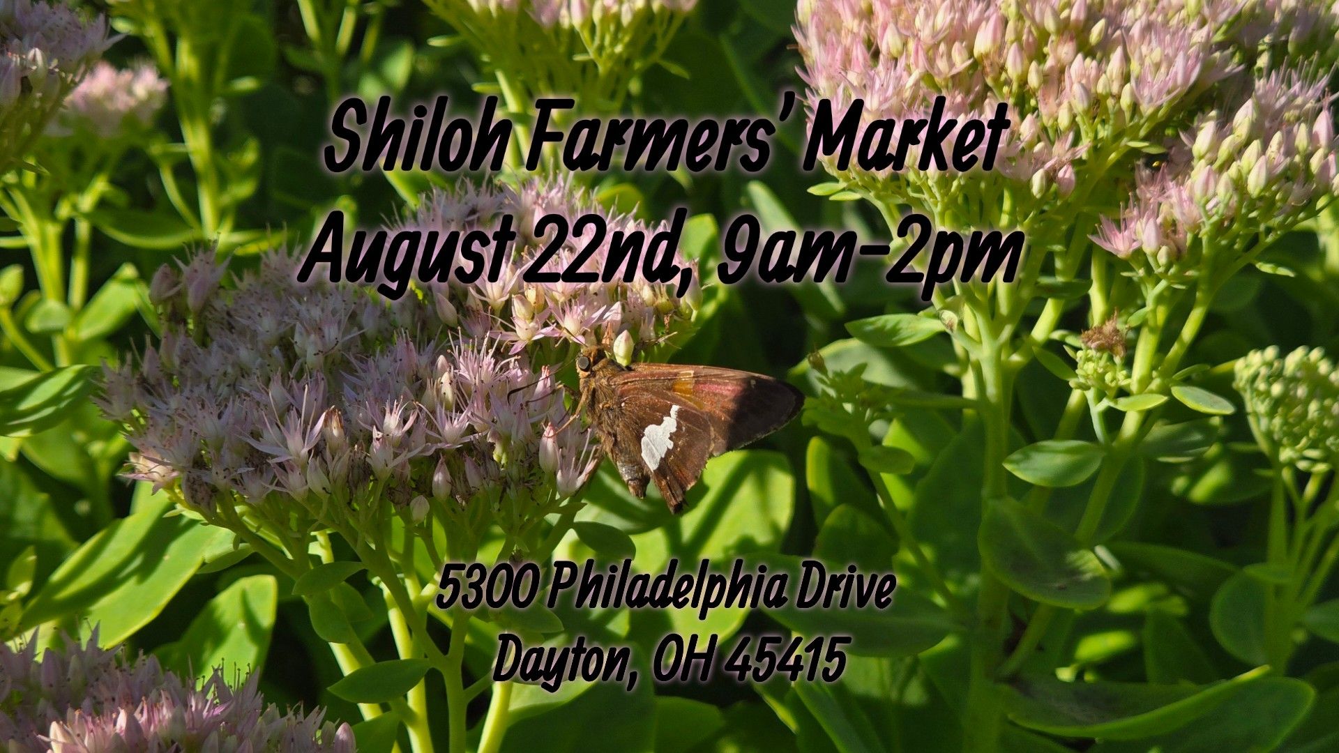 Shiloh Farmers' Market Facebook ad: Shiloh Farmers' Market August 22nd