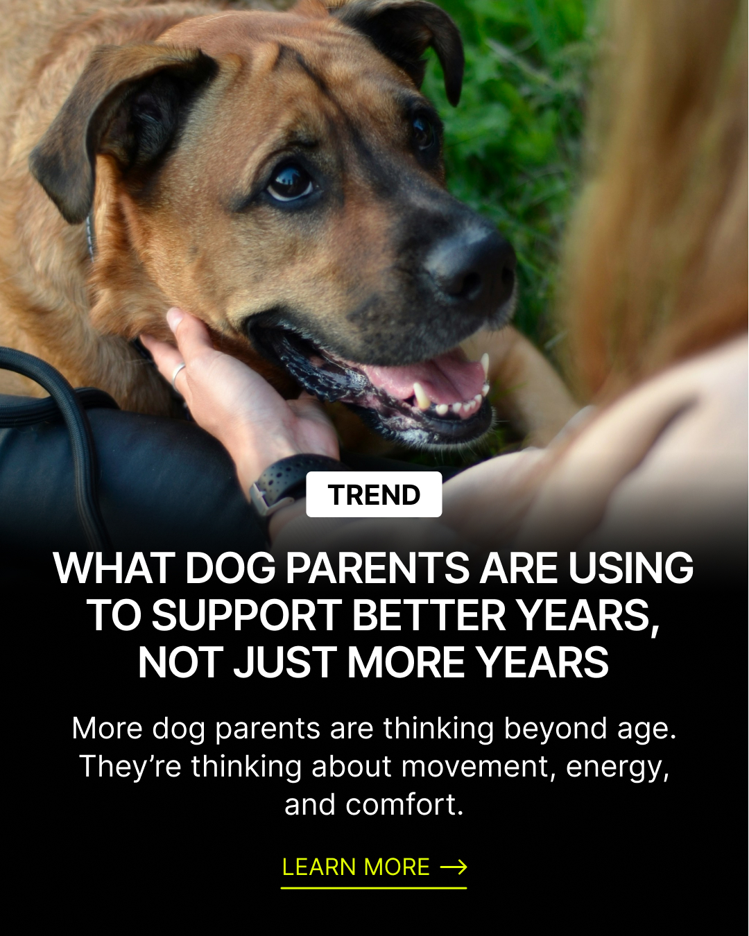 Native Pet Facebook ad