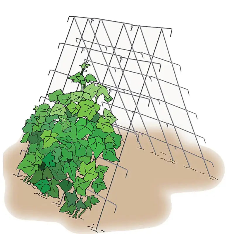 Gurney's Seed and Nursery Co. Facebook ad