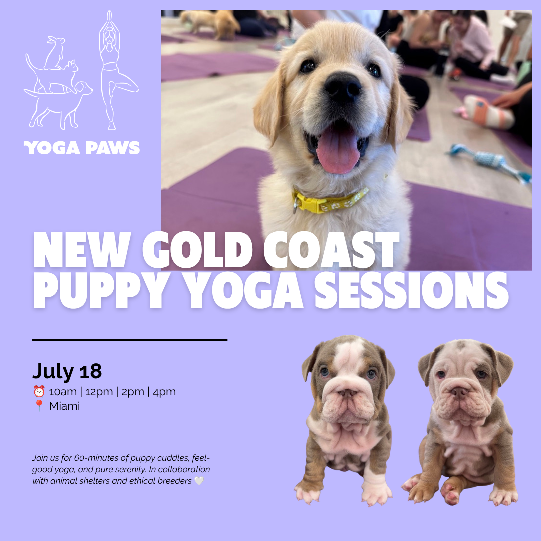 Yoga Paws Facebook ad