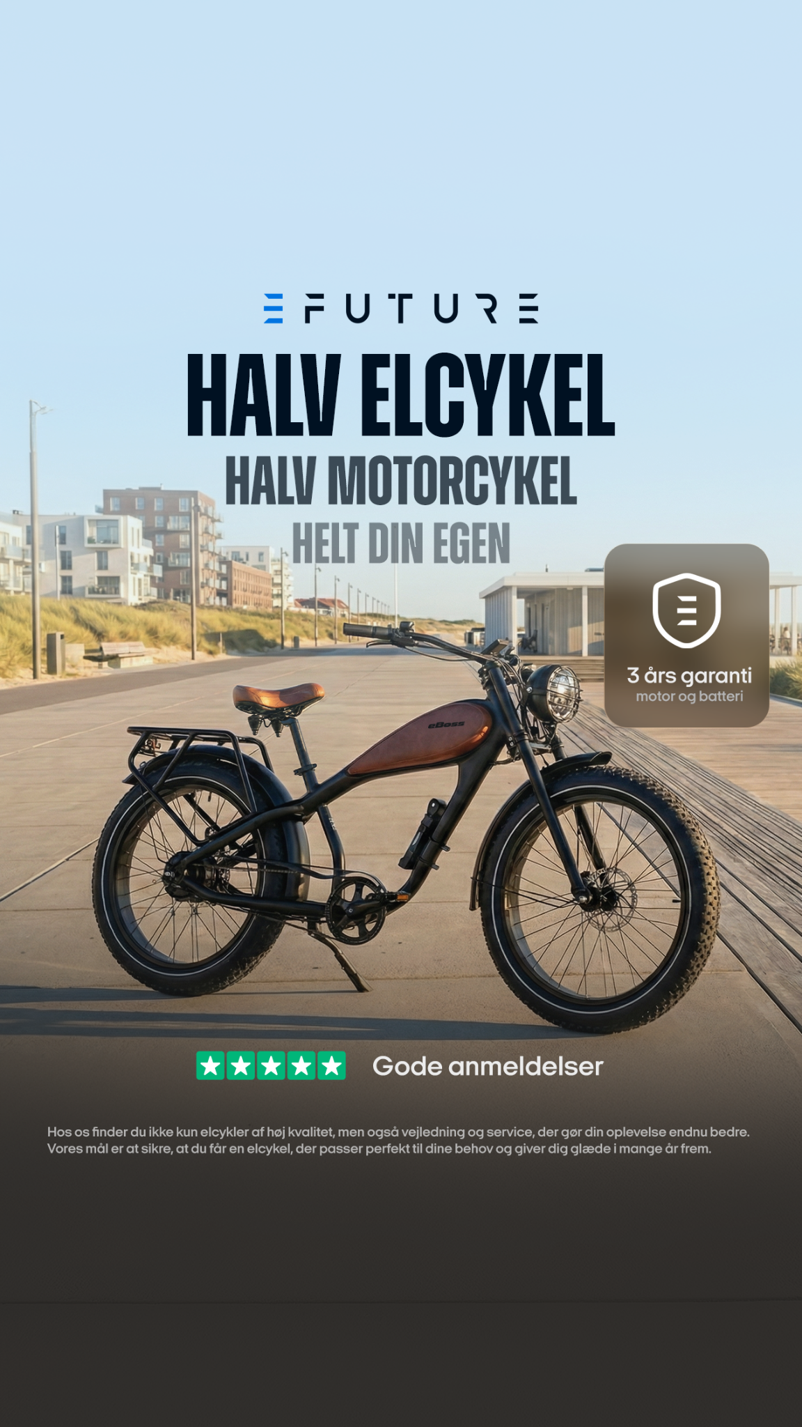 Efuture Facebook ad