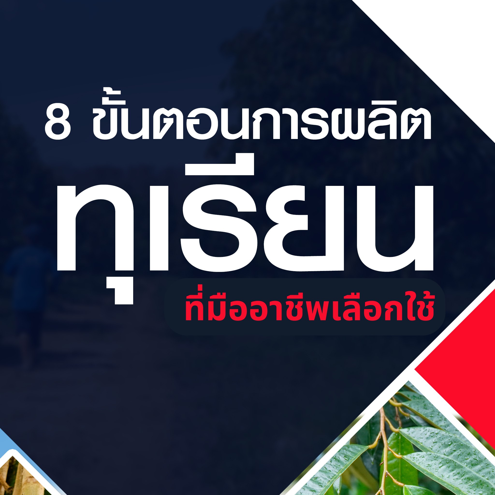 สถานีเคมีเกษตร Facebook ad