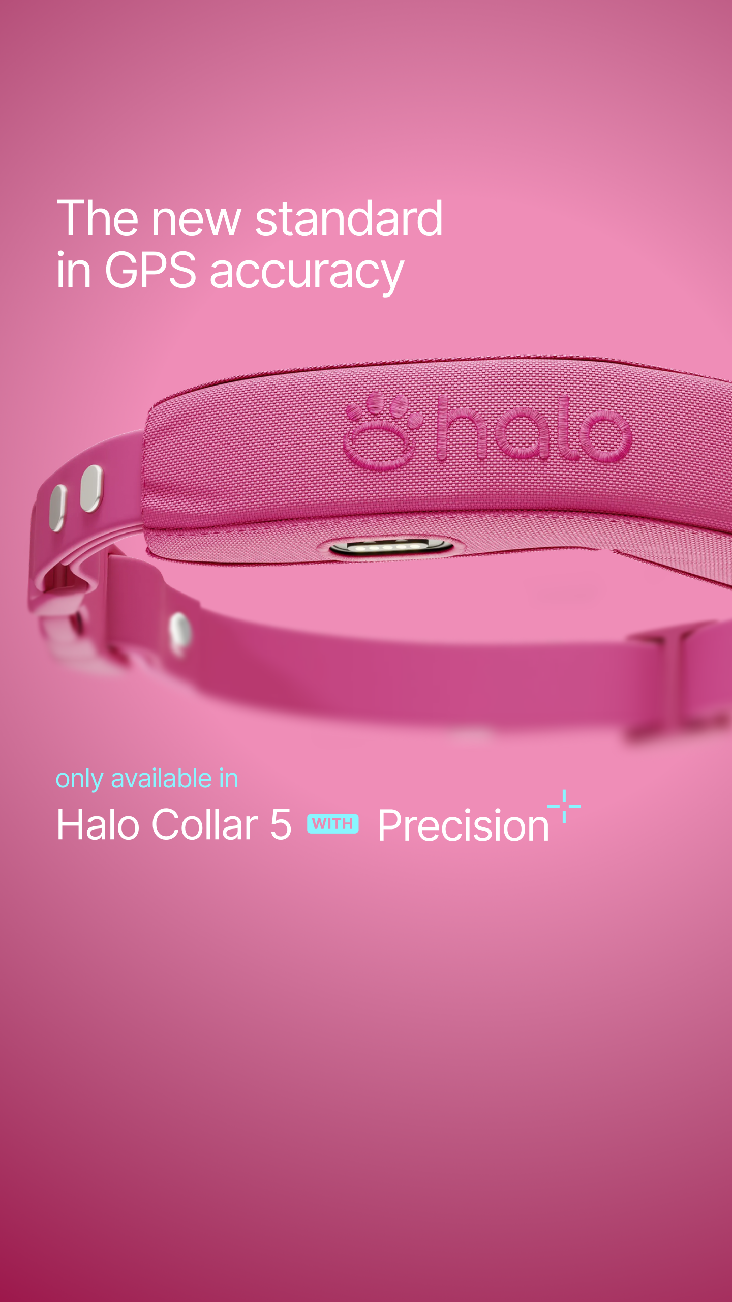 Halo Collar Facebook ad