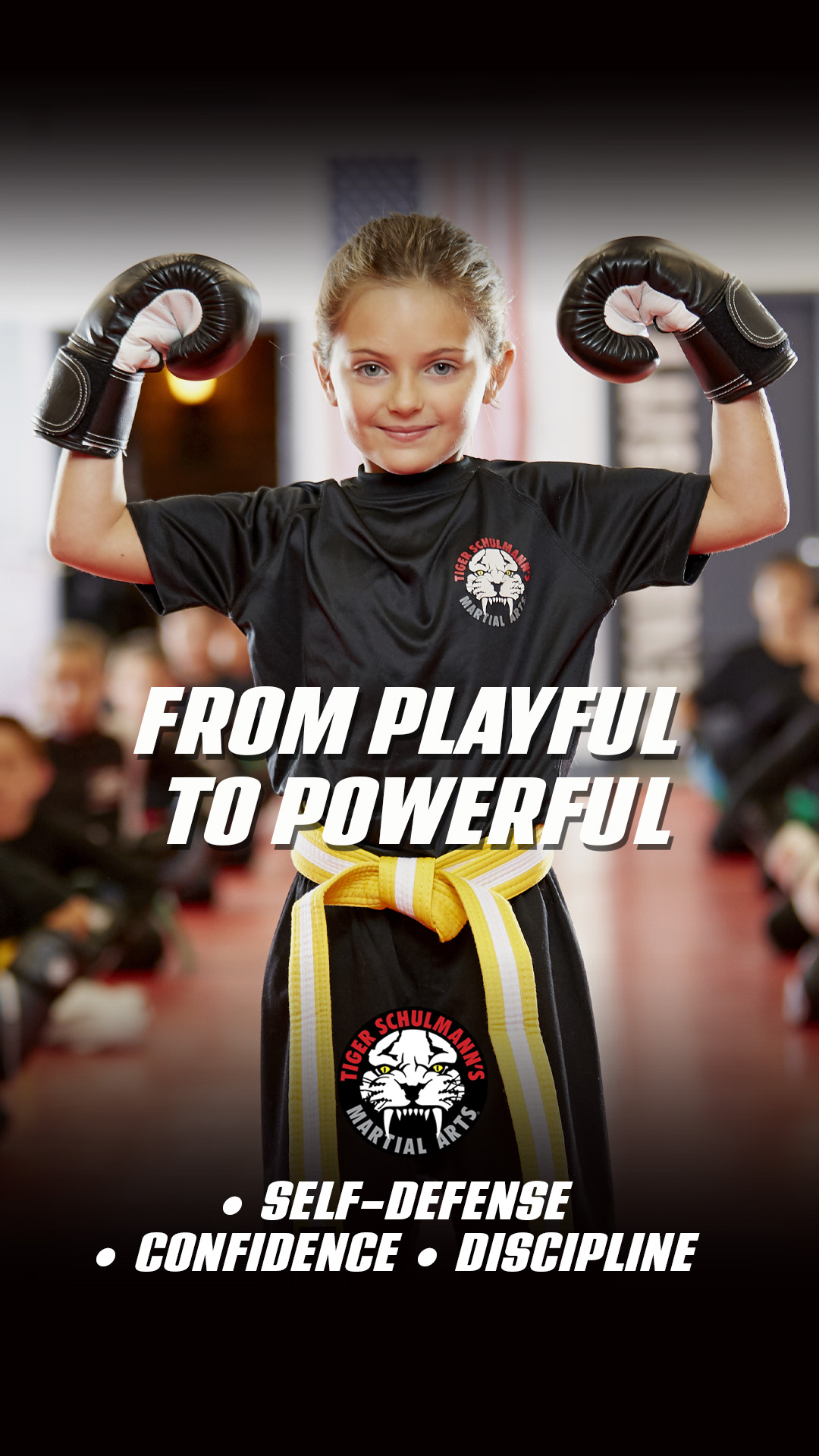 Tiger Schulmann's Martial Arts Facebook ad