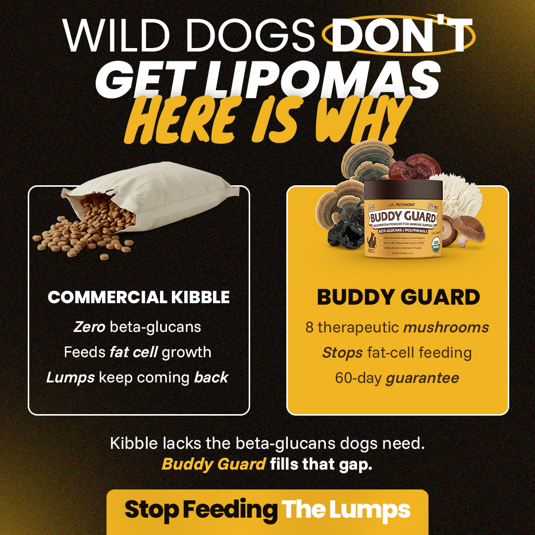 Petsmont Facebook ad