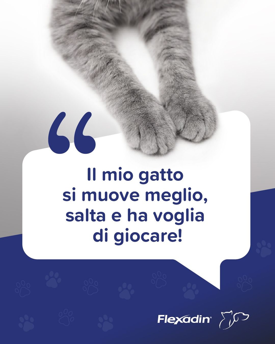 My Happy Pet Italia by Vetoquinol Facebook ad: Flexadin Advanced