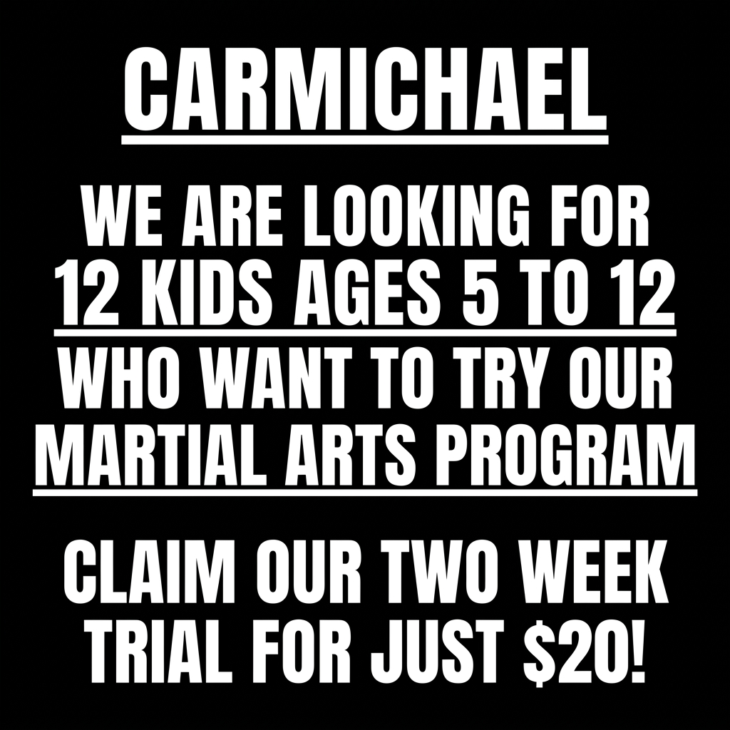 Carmichael Academy - Family Taekwondo Facebook ad: Family Martial Arts!