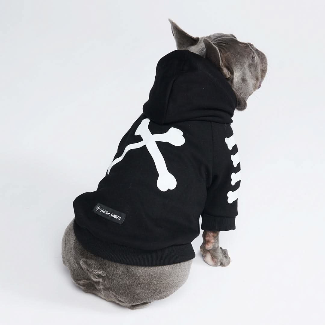 Spark Paws Facebook ad