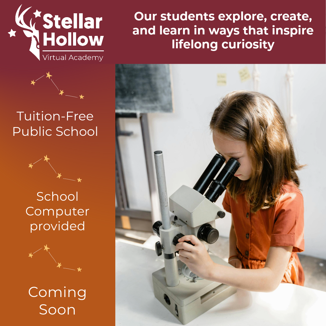 Stellar Hollow Virtual Academy Facebook ad