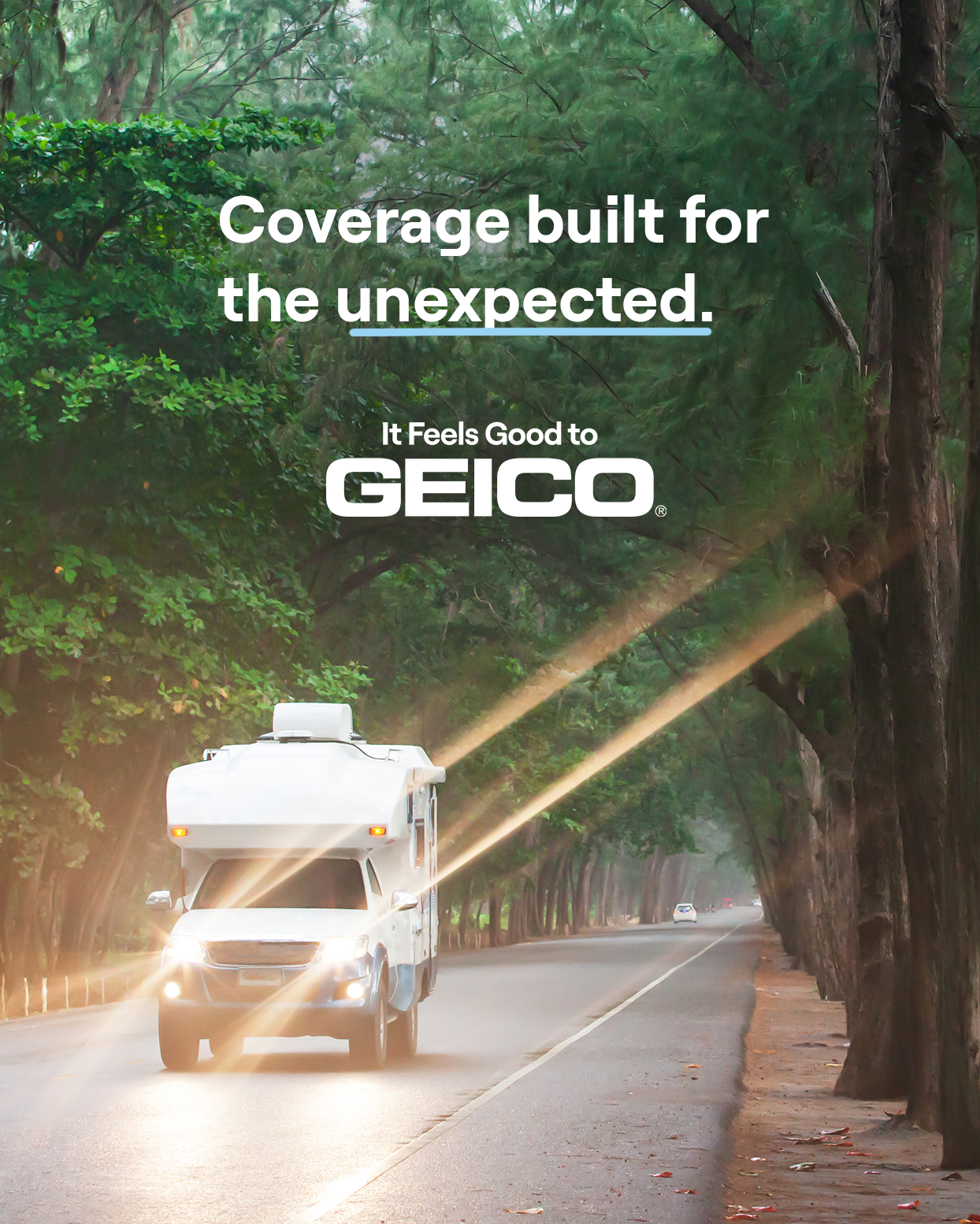 GEICO Facebook ad