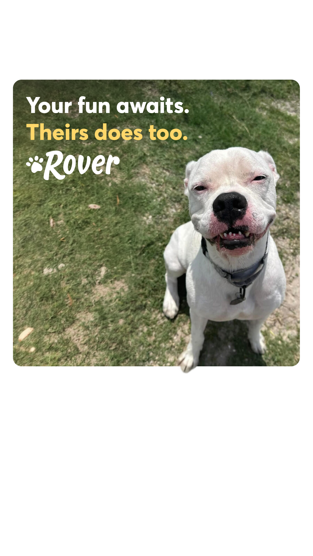 Rover.com Facebook ad